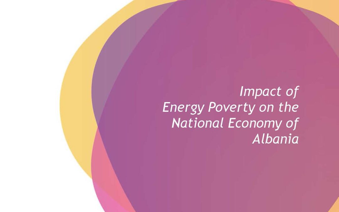 Impact of Energy Poverty on the National Economy of Albania