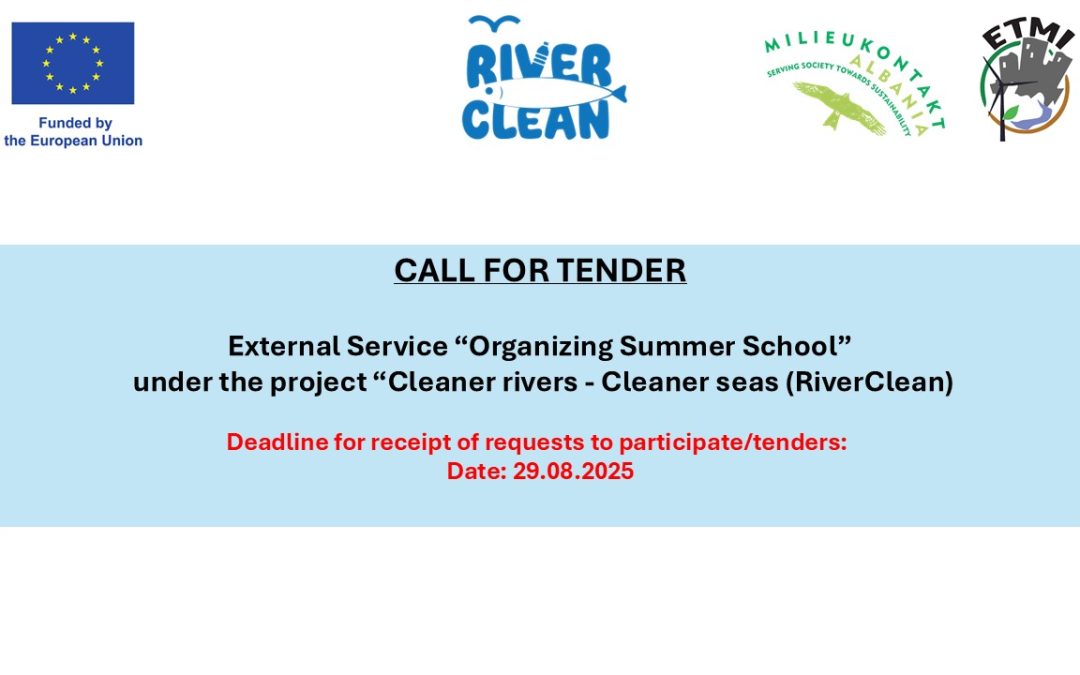 External Service for organising Summer School